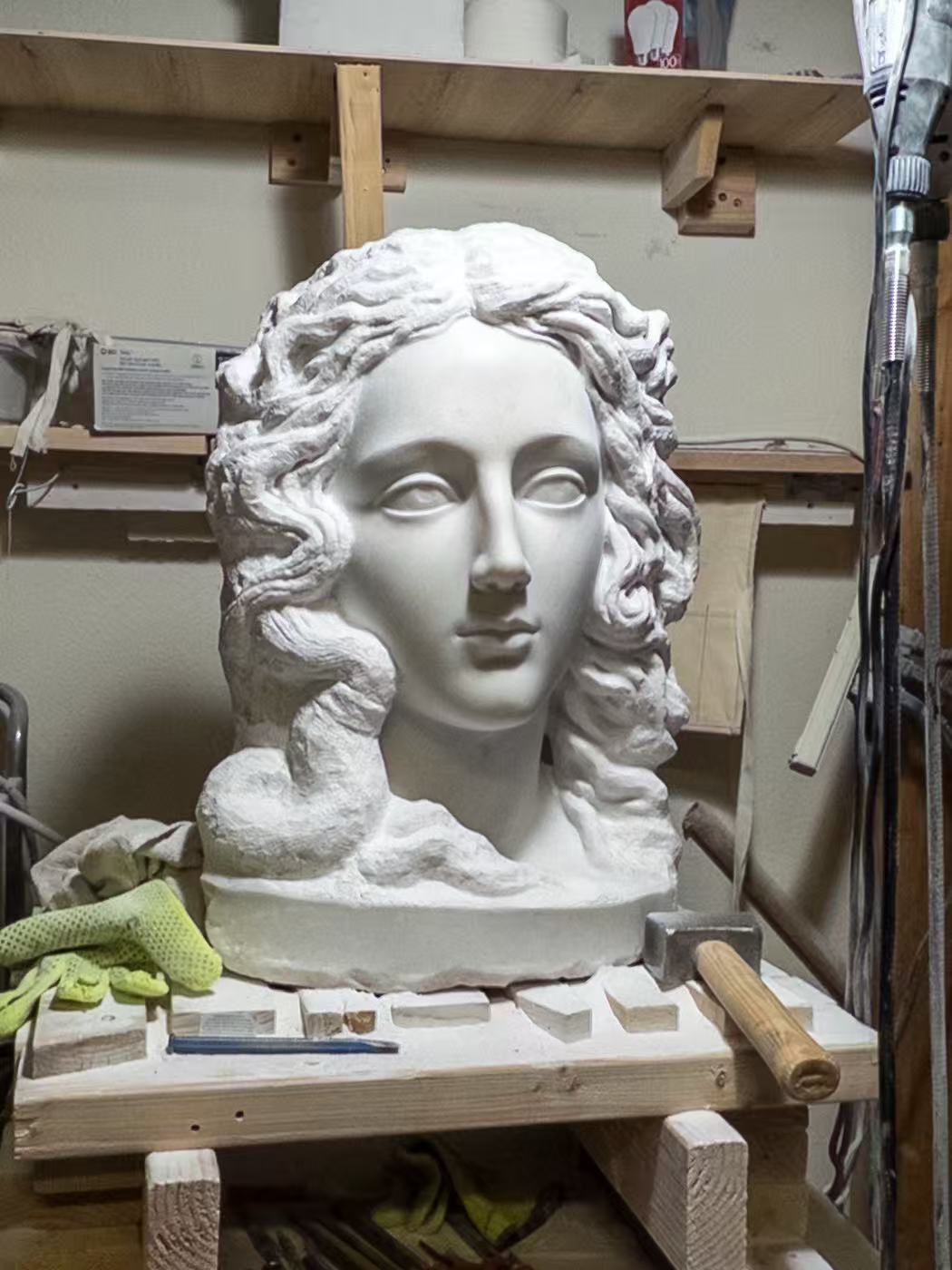 American Venus in Progress